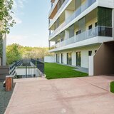 Erou Iancu Nicolae, Baneasa apartament cu gradina